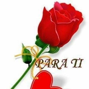 Meet your Posher, Cristina